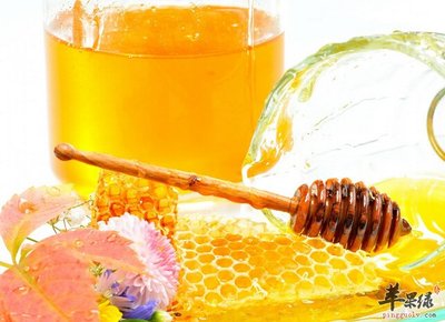 吃蜂蜜可以减肥吗