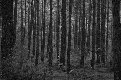凄凉背景图片素材-免费可商用-高清下载-快剪辑