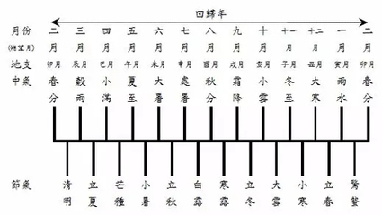 84年鼠什么命