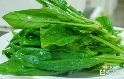怀孕不能吃菠菜吗
