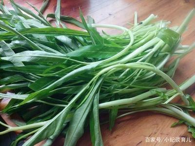 怀孕能吃通心菜吗