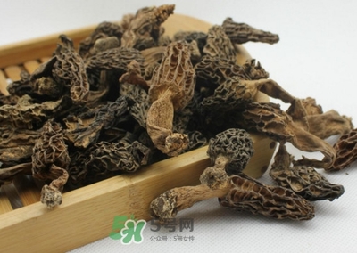 牛肚菌孕妇可以吃吗