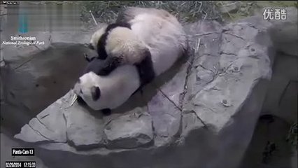 孕妇梦见傻子是胎梦吗