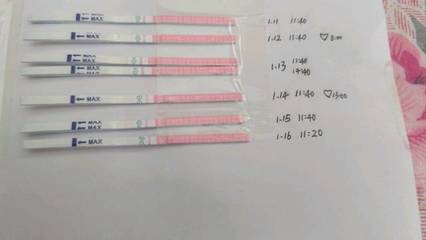 排卵期不是排卵日会怀孕吗