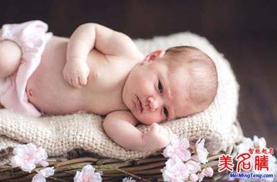 属猪的宝宝取名
