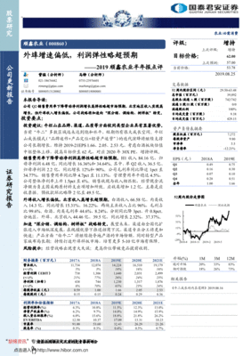 农业公司股票分析报告怎么写