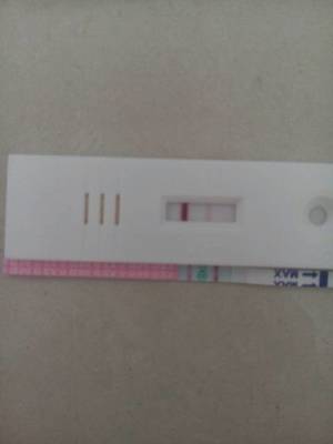 怀孕几个月能测出来