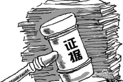 证据证明力