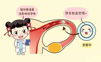 药流后会影响以后怀孕吗