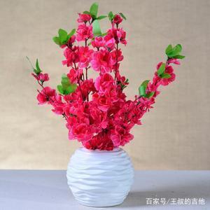 花瓶名字大全