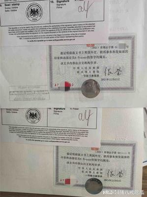 公证需要多长时间