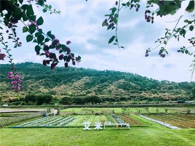 广州风云岭森林公园