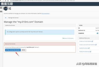 中文域名删除时间查询,cn域名删除时间是早上几点