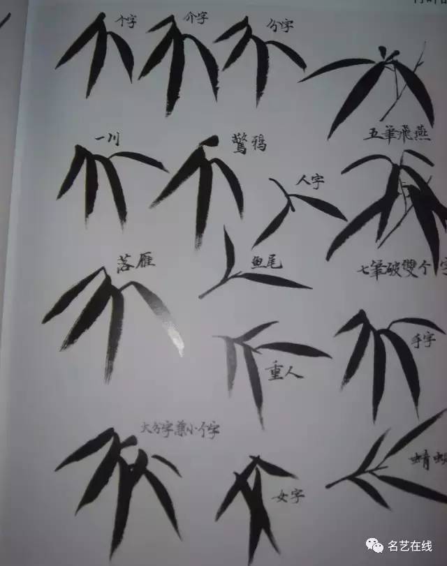 竹字起名