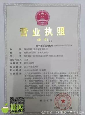 服装公司营业执照