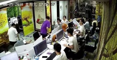 程序员一年会什么