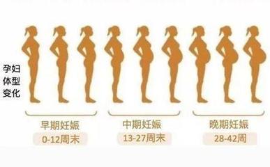 4个方法判断是否怀孕
