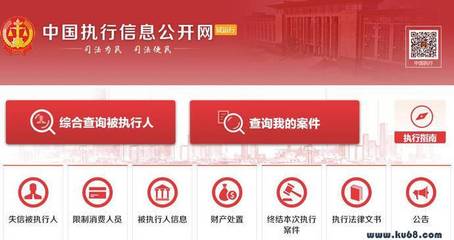 全国执行网信息查询