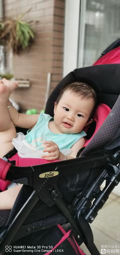 10个月宝宝不吃奶粉怎么办