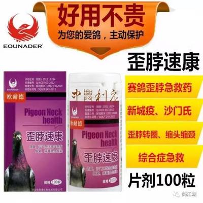 鸽子歪脖子怎么治疗