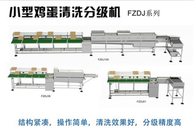 人头骨共有多少块