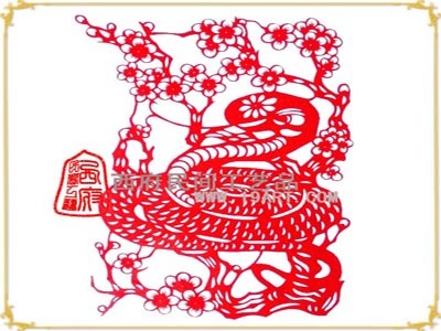 贝壳五行属什么