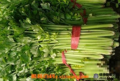 怀孕能吃芹菜