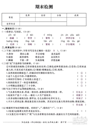 2020年阳光试卷五年级上册