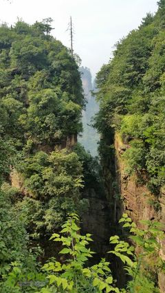 深圳到长沙张家界攻略