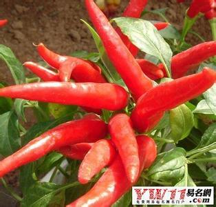 周公解梦梦见烧火做饭