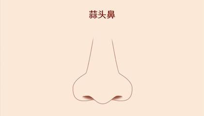 圆头鼻子的女人的面相