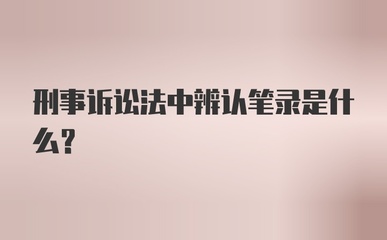 刑事诉讼法辨认