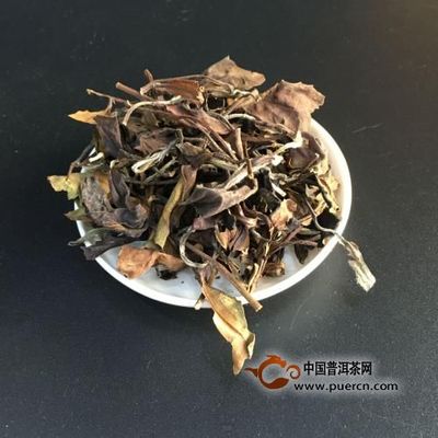 白茶怎么泡