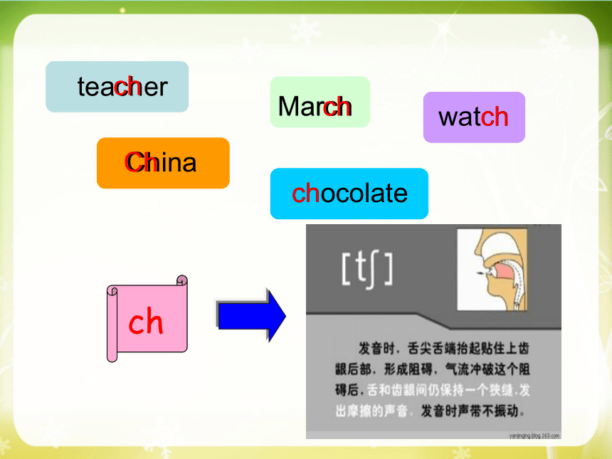 chocolate正确音标