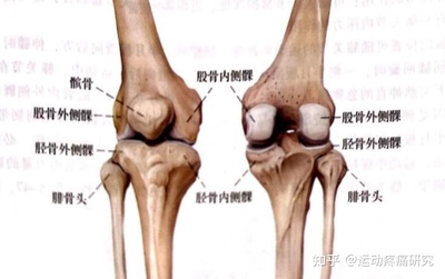 髌骨疼痛怎么治疗