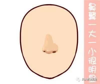 鼻翼一大一小面相