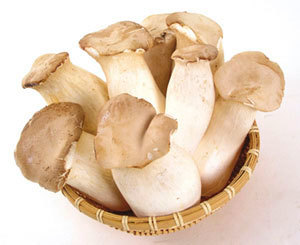 咳嗽能吃磨菇吗