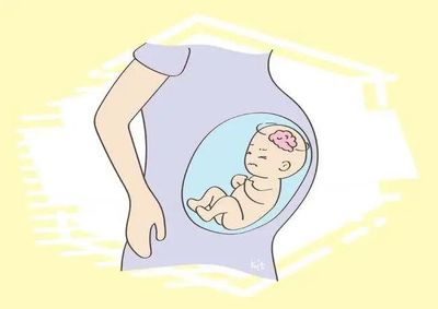 怀孕还能喂母乳吗