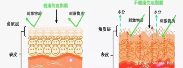 皮肤美白的原理