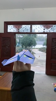 纸飞机在国内怎么用不了