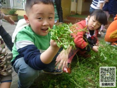 梦见自己在地里拔草