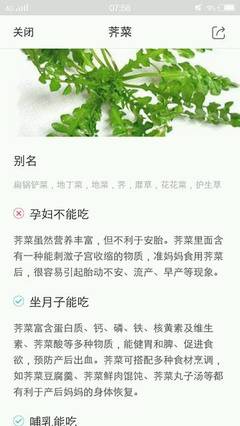 月子里能吃荠菜饺子吗