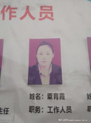 姓名 霞