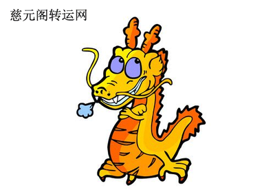 属龙和属鼠的合财吗