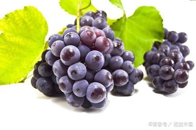 咳嗽可以吃葡萄