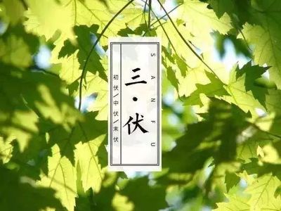 今年大暑时间