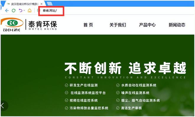 中文域名如何评价,中文域名的缺点