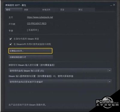 赛博朋克steam能共享吗