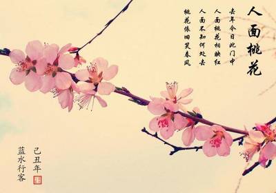 人面桃花指什么生肖