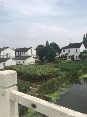 苏州姑苏区怎么样